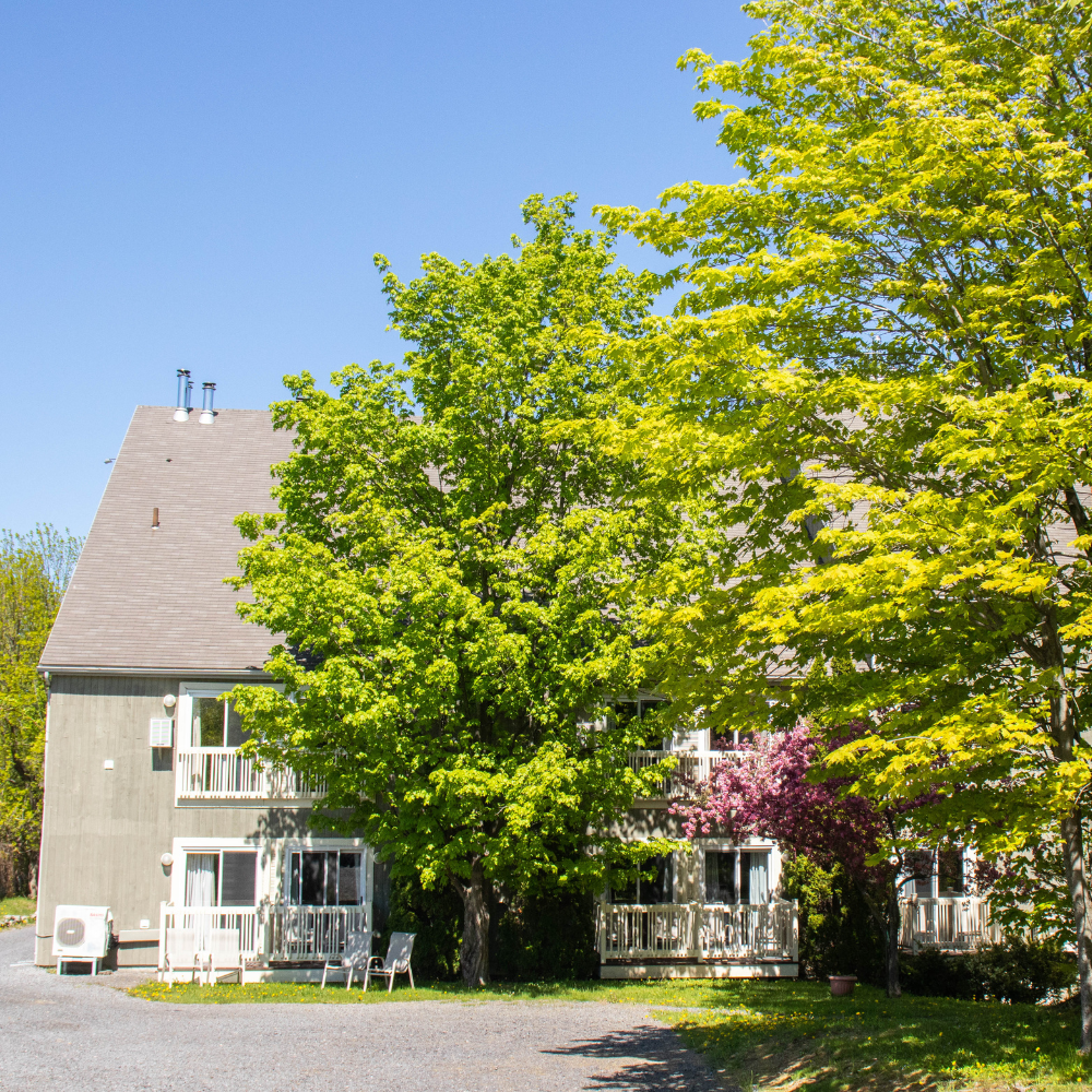 Two nights for 2 people - Hôtel La Camarine