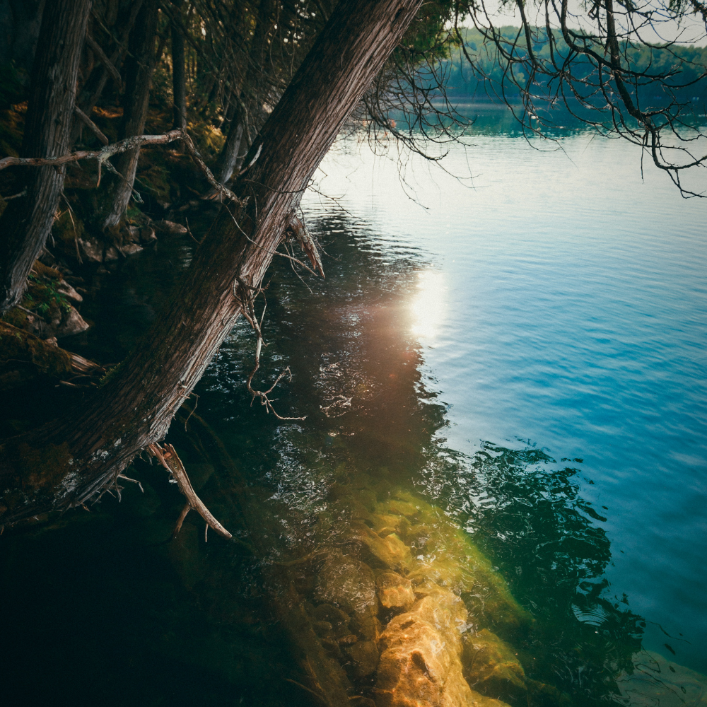 River trip for 2 people - CarpeDiem Adventures