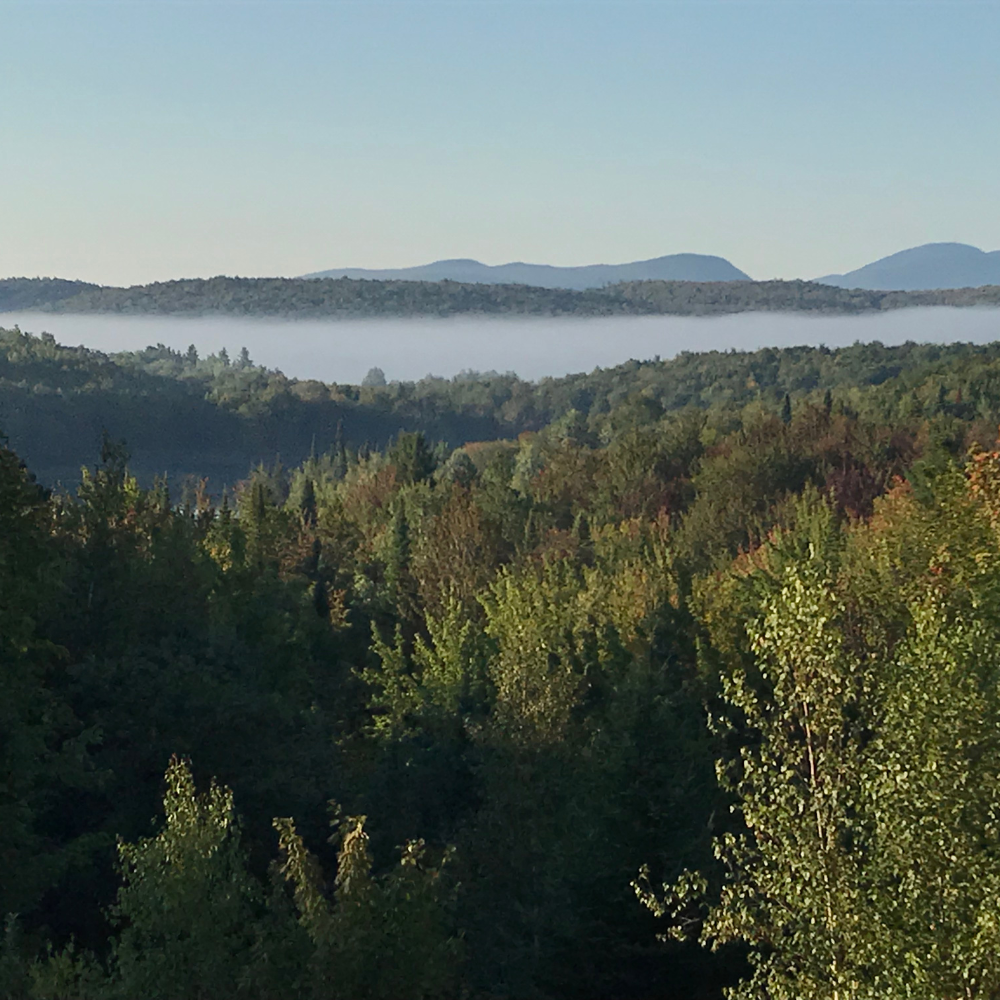 A credit for a stay in a cabin for 2 people - Laö Cabines