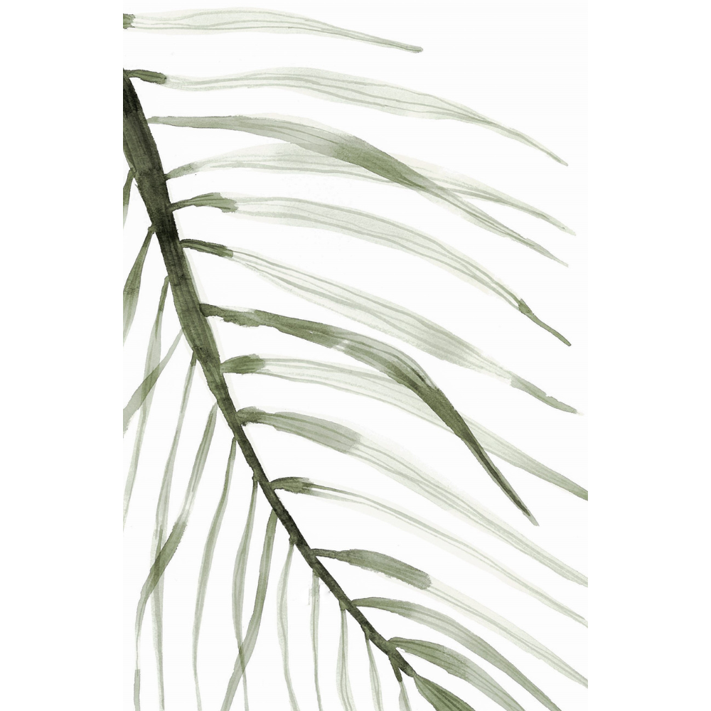 Illustration - Feuille palmier