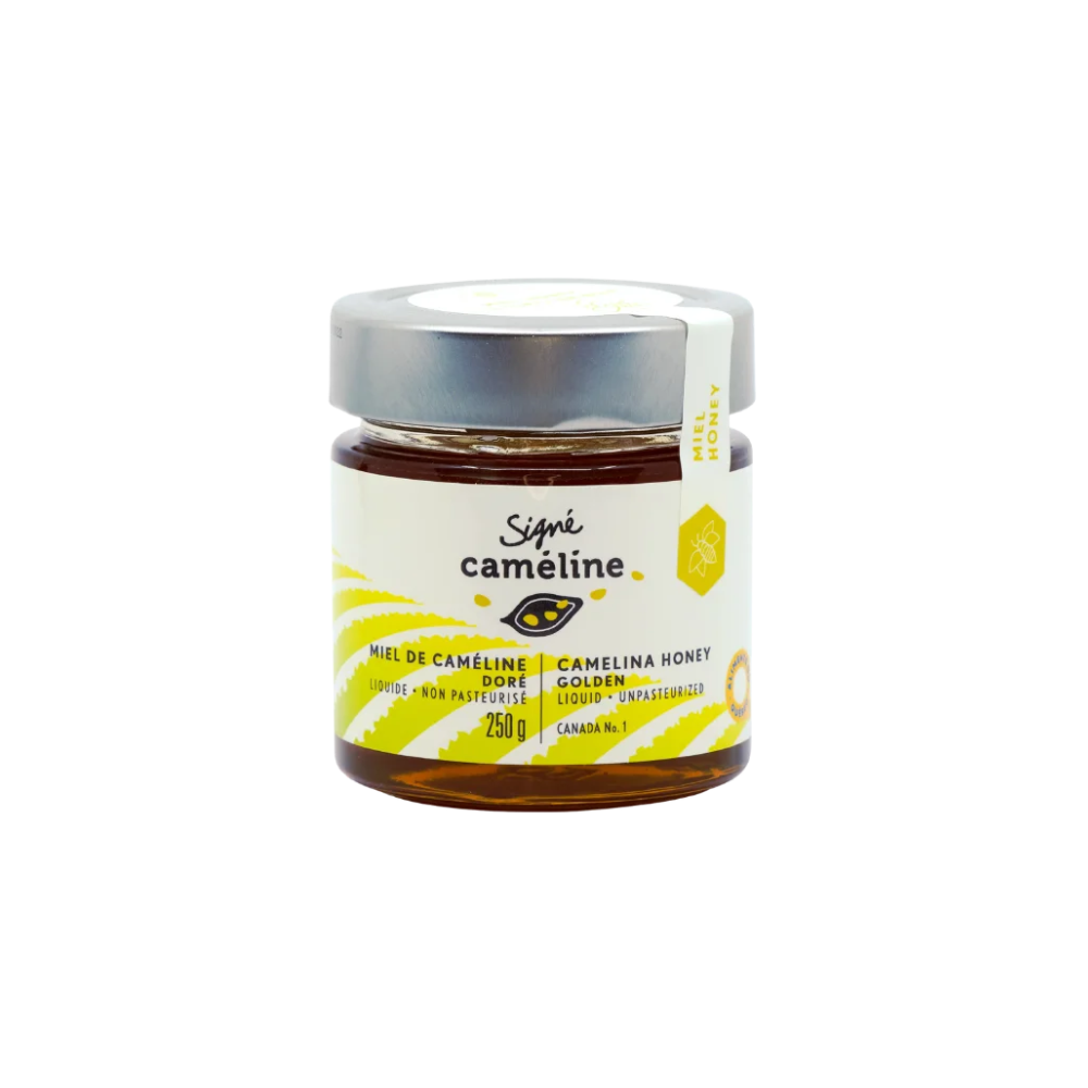 Miel de caméline doré