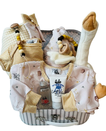 Panier-cadeau bébé personnalisé