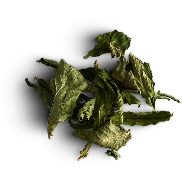 Tisane Inuit - Boîte découverte en bois