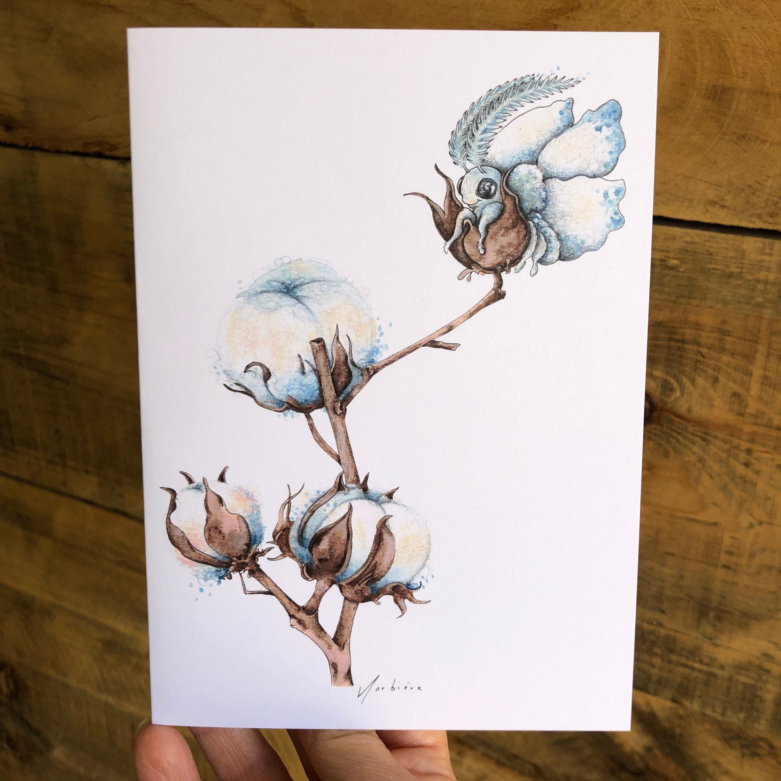 Carte de souhaits - Coton cocon