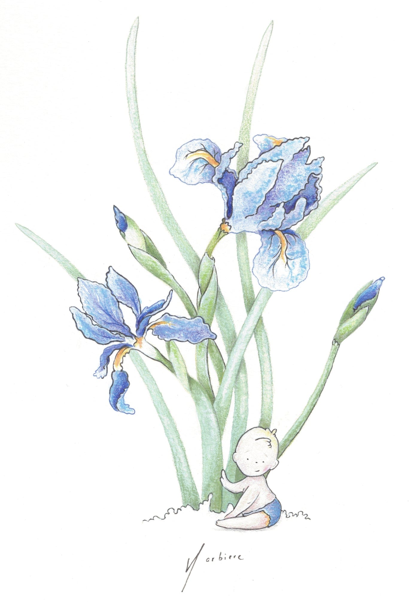 Carte de souhaits - Bébé iris