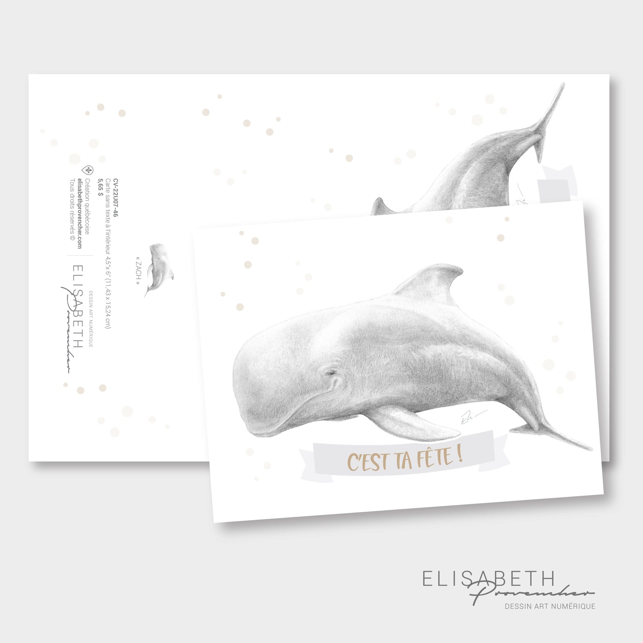 Carte de souhaits - Zach