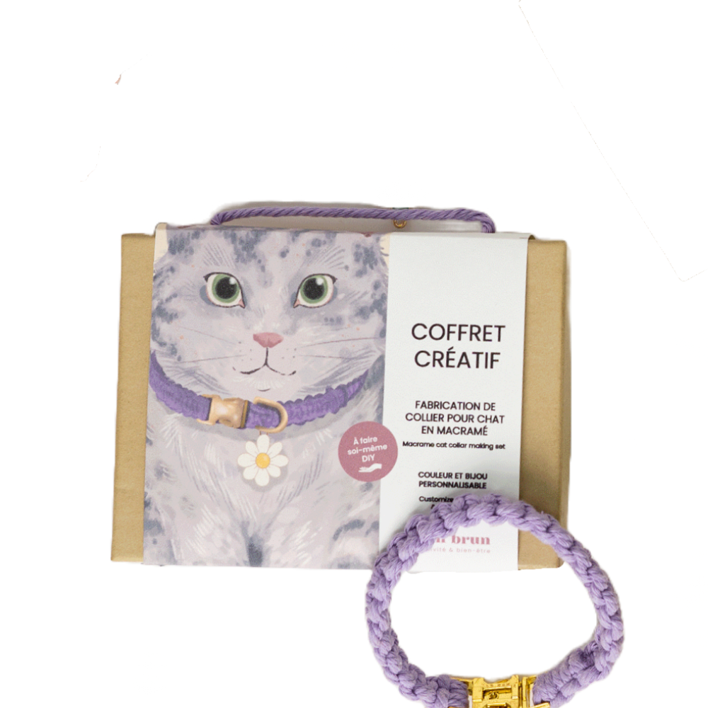Ensemble de fabrication de collier pour chat | Choisissez votre couleur