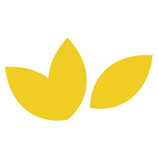Logo Janelle Santé
