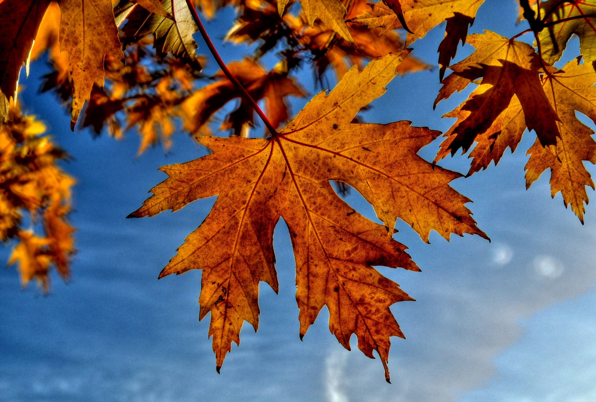 L'automne: la saison parfaite pour découvrir les produits québécois