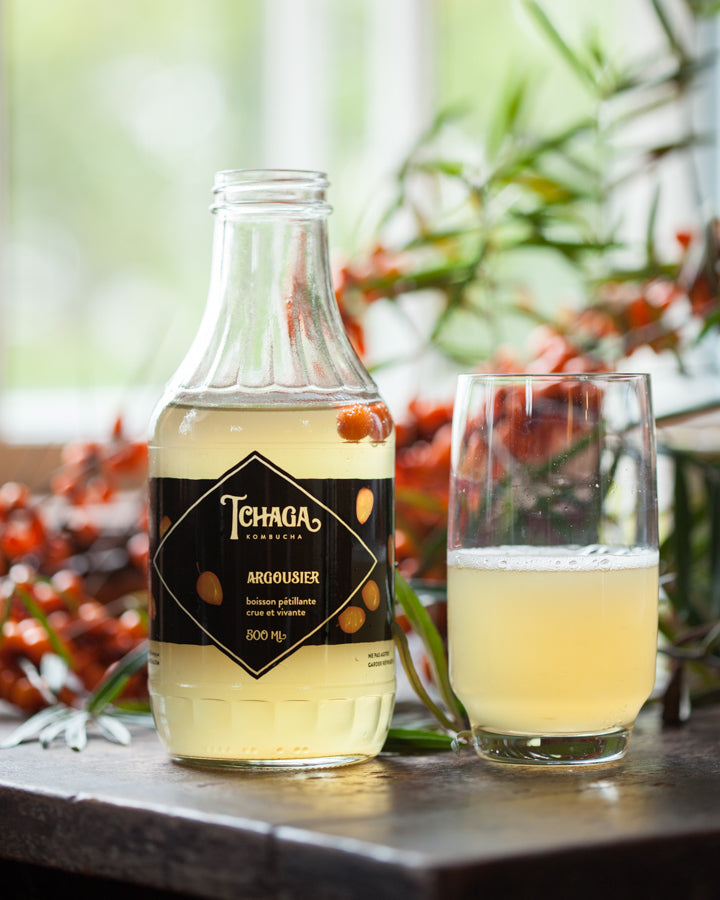 Tchaga Kombucha