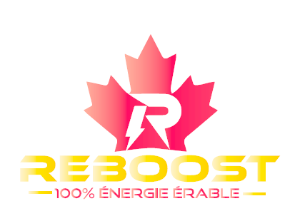 Logo Reboost