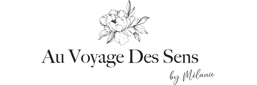 Logo Au Voyage Des Sens