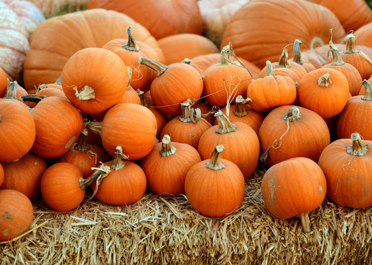 Une Halloween en mode zéro déchet