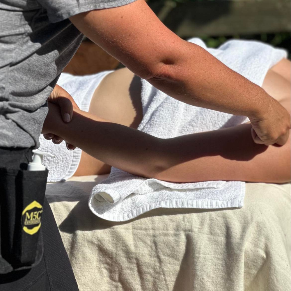 Deux nuitées en studio luxueux, Massothérapie, Apéro/Pique-Nique et moment spécial avec les Alpagas - La Casa d'Alpagas