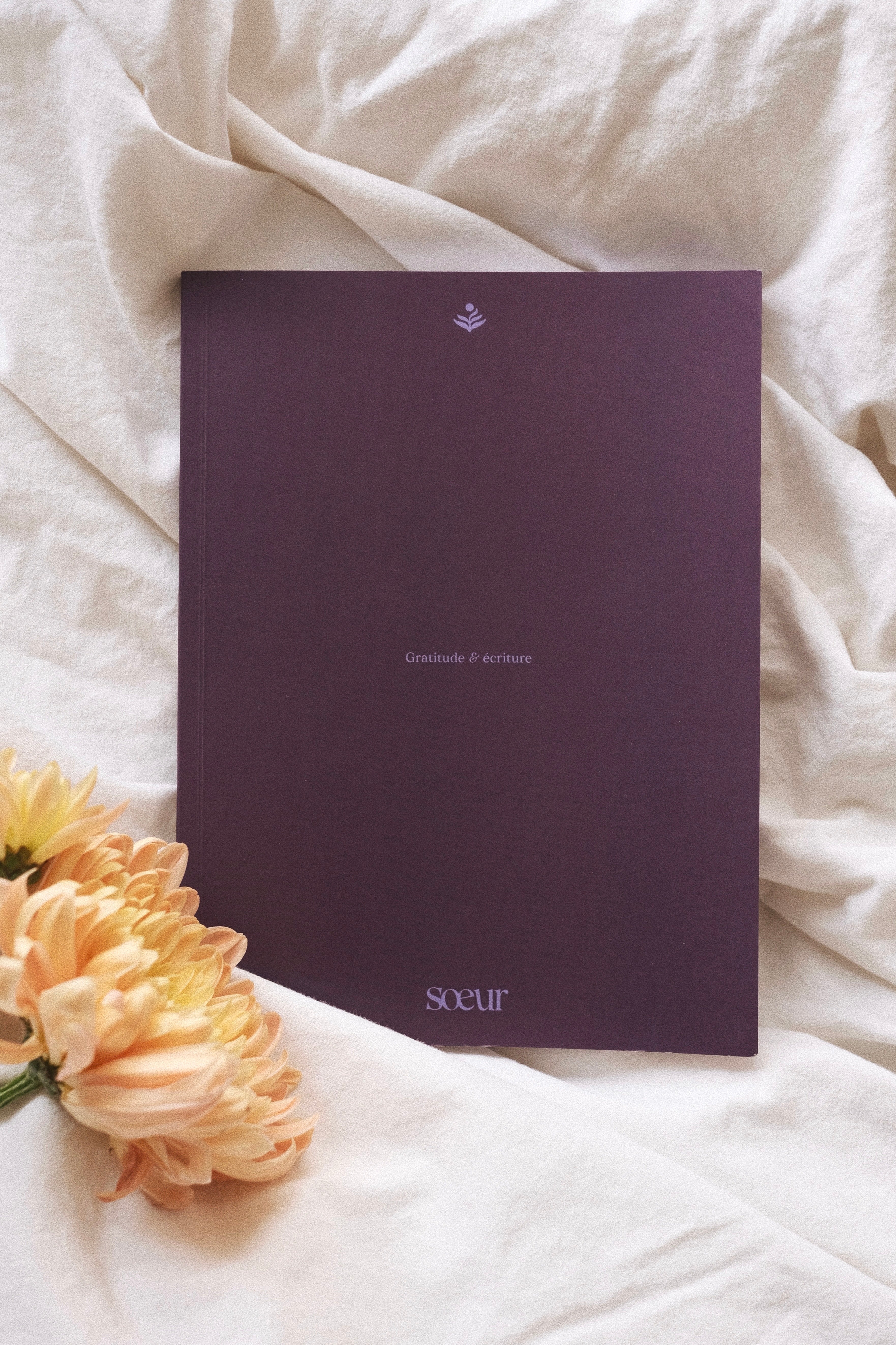 Rituel Pleine Conscience