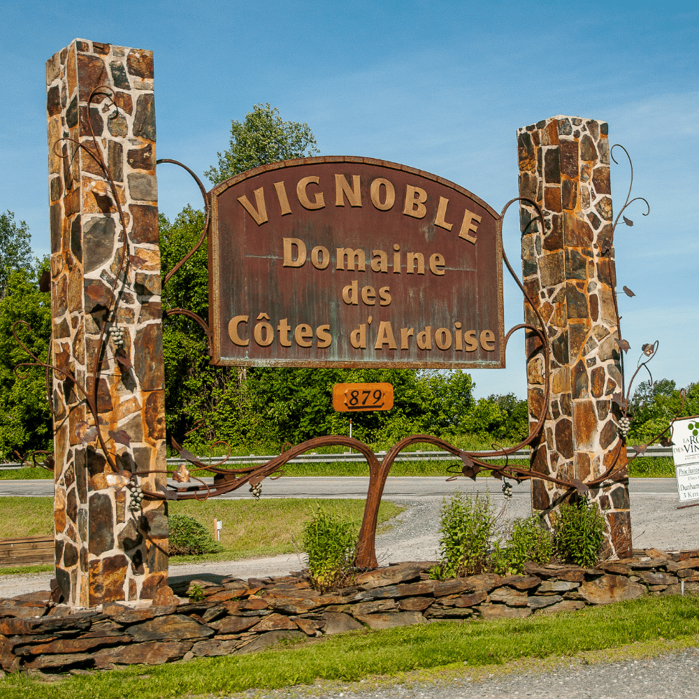 Vin et fromage pour 2 personnes - Domaine des Côtes d'Ardoise