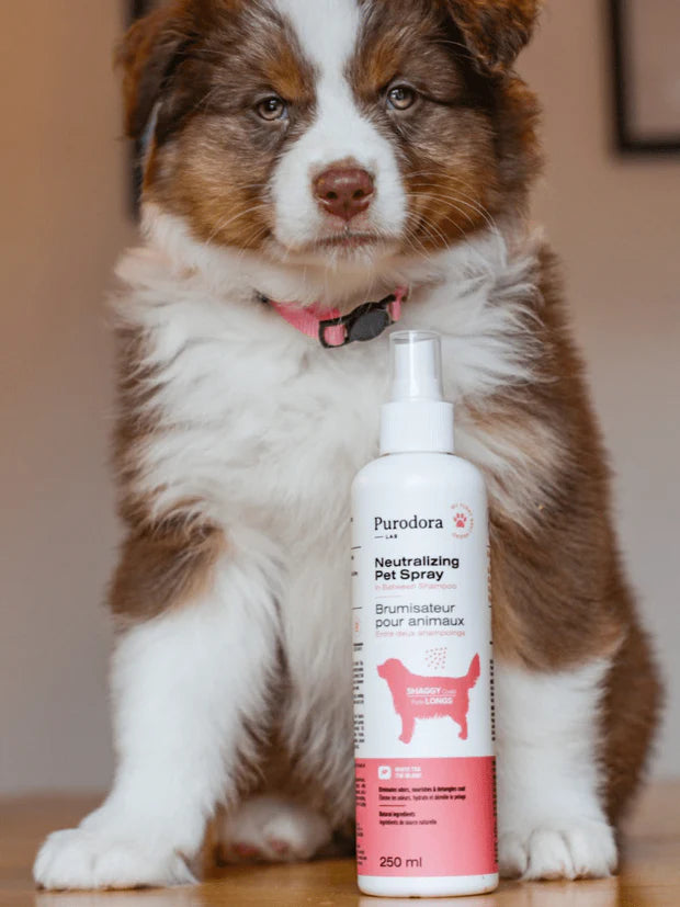 Brumisateur pour animaux à poils courts et longs - 110 ml