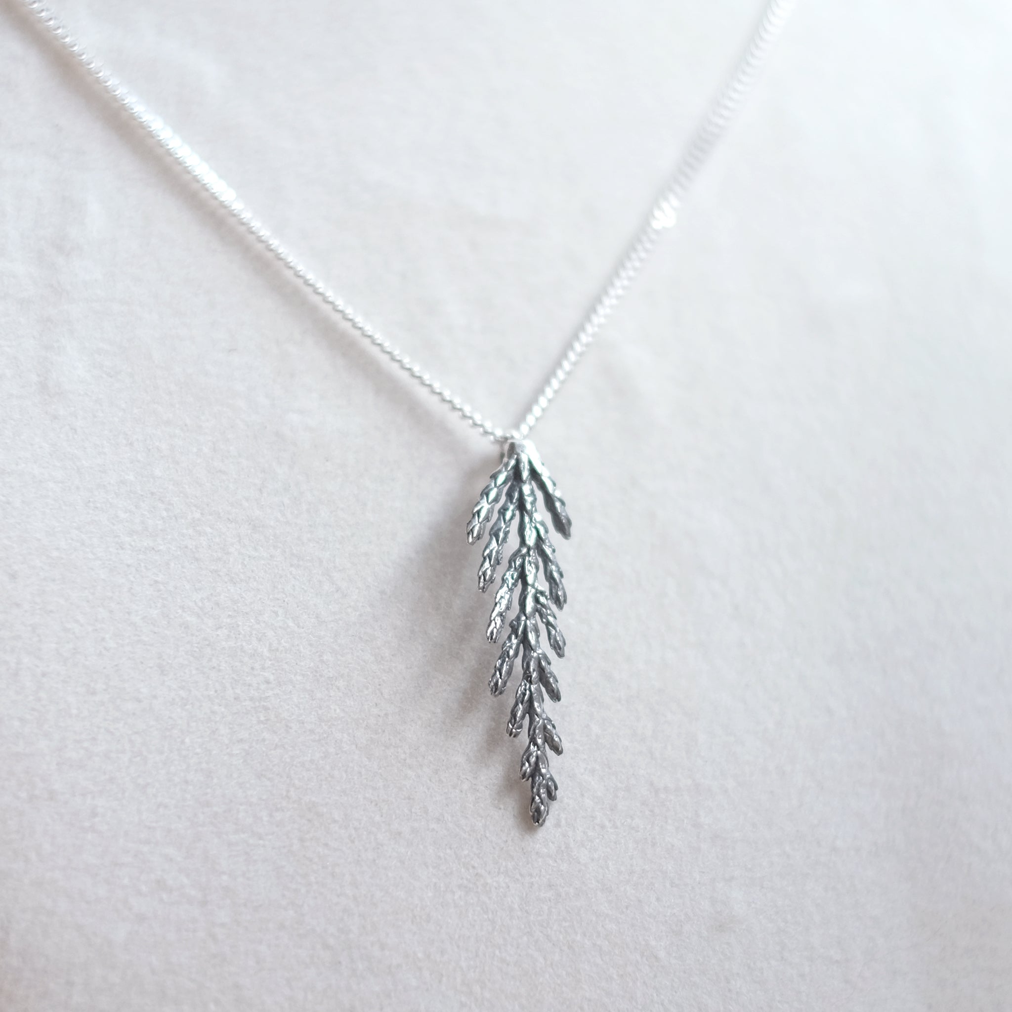 Collier branche de cèdre, petit
