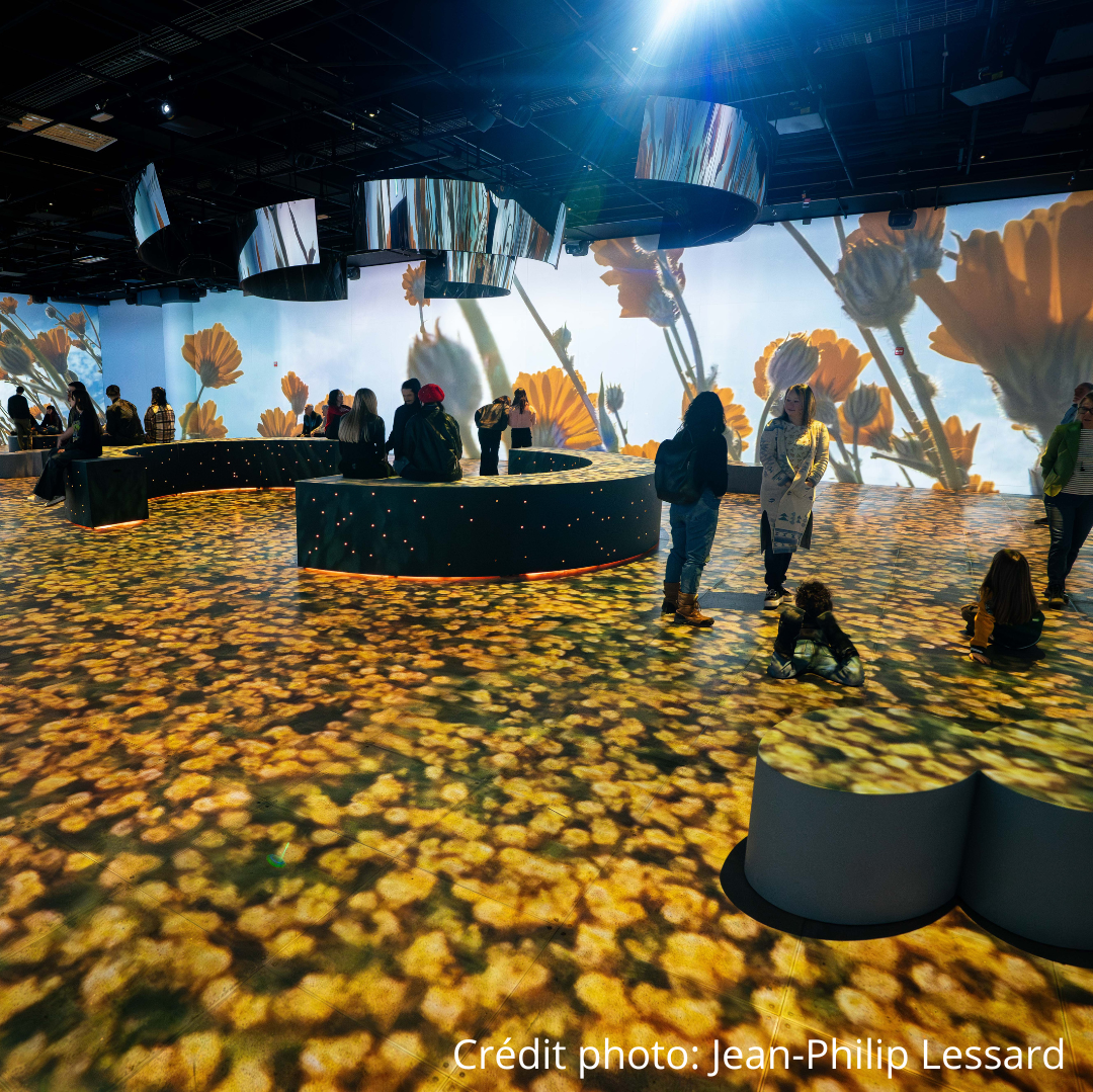 Exposition immersive pour 2 personnes - OASIS Immersion