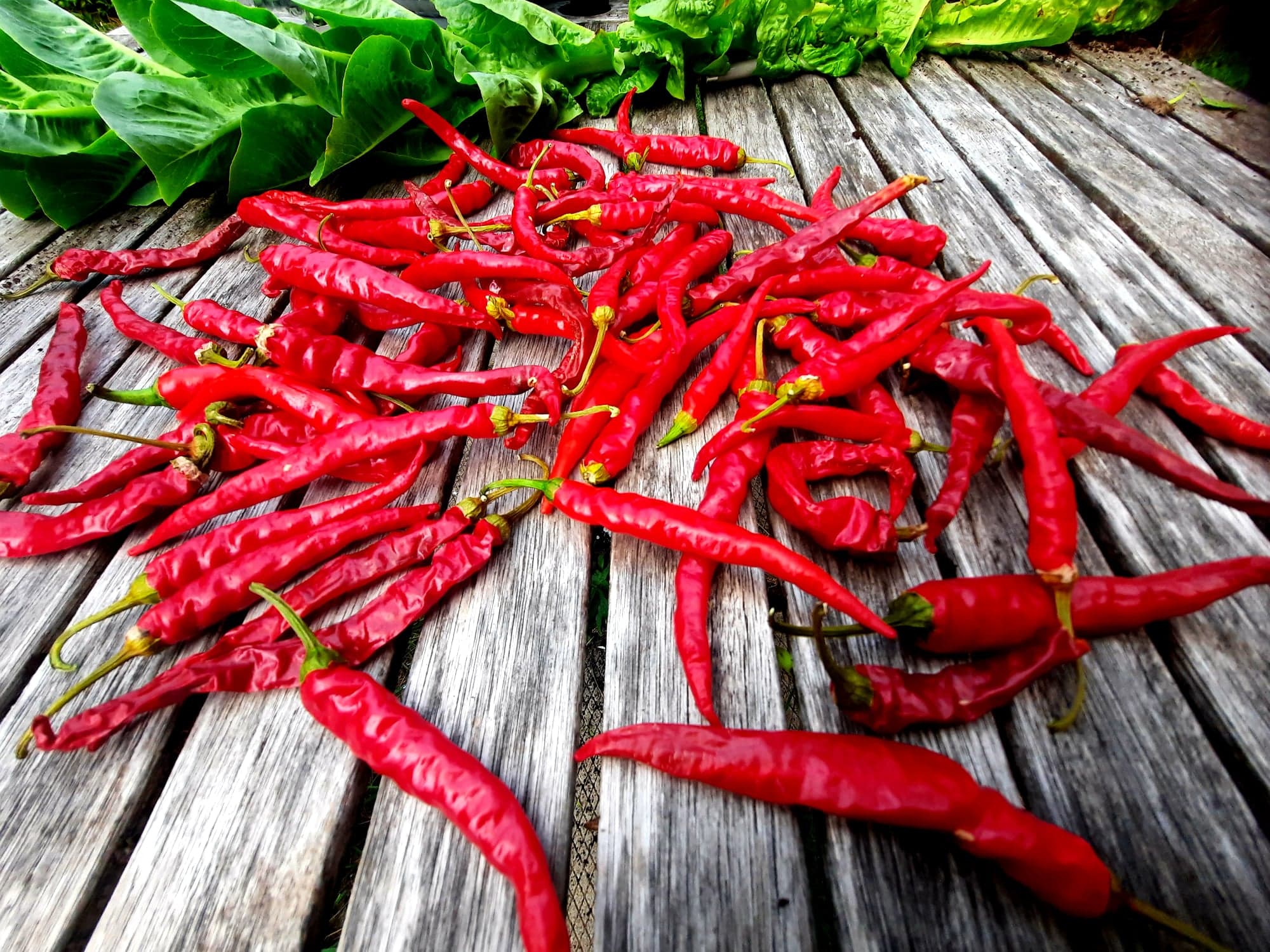 La Musclée – Huile corporelle réchauffante & décontractante