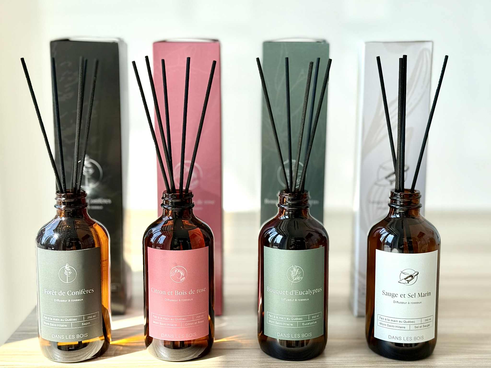 Diffuseur à roseaux - Bouquet d'Eucalyptus