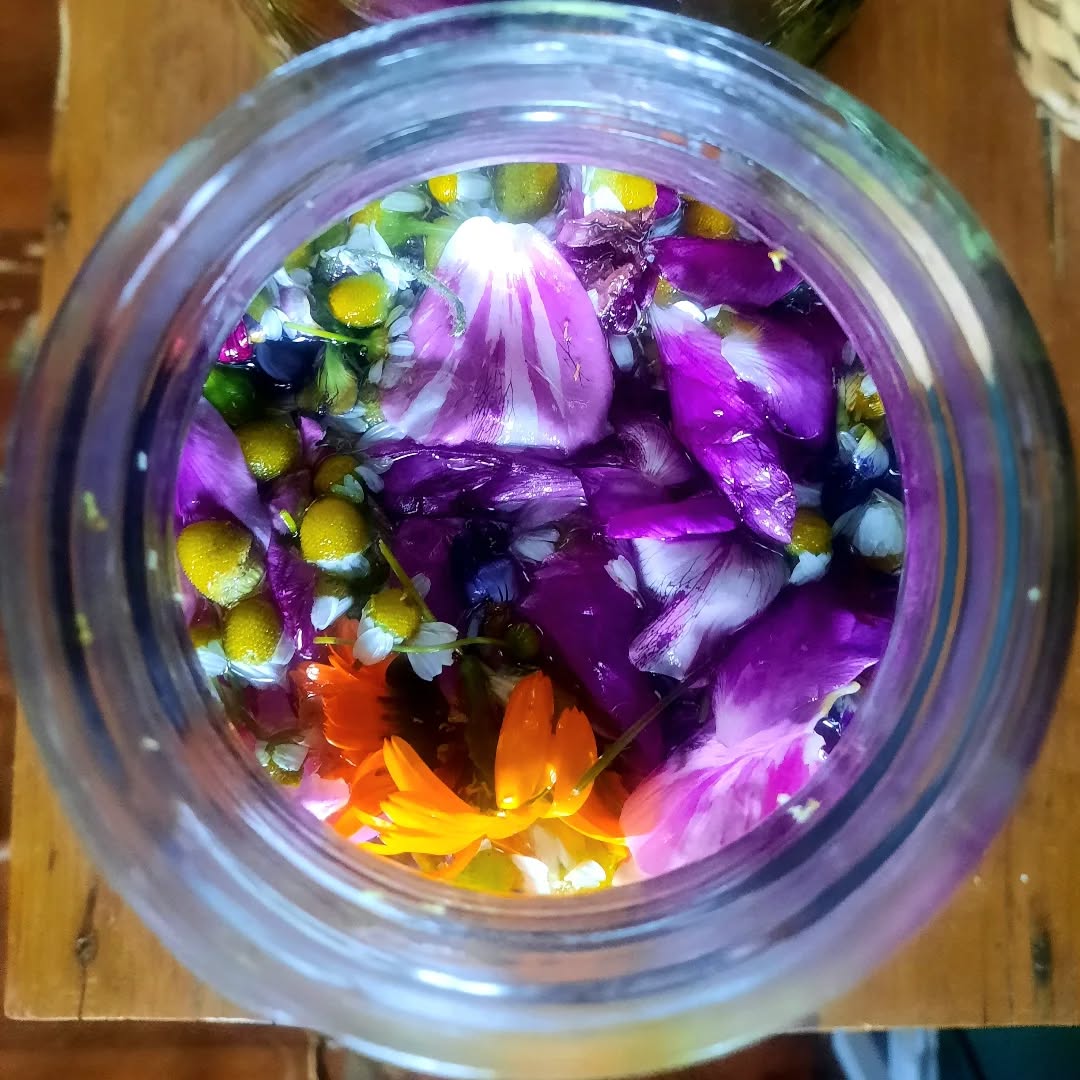 À fleur de peau – Sérum visage réparateur