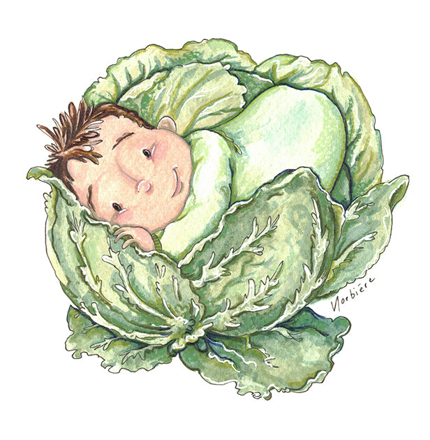 Greeting Card - Baby Cabbage