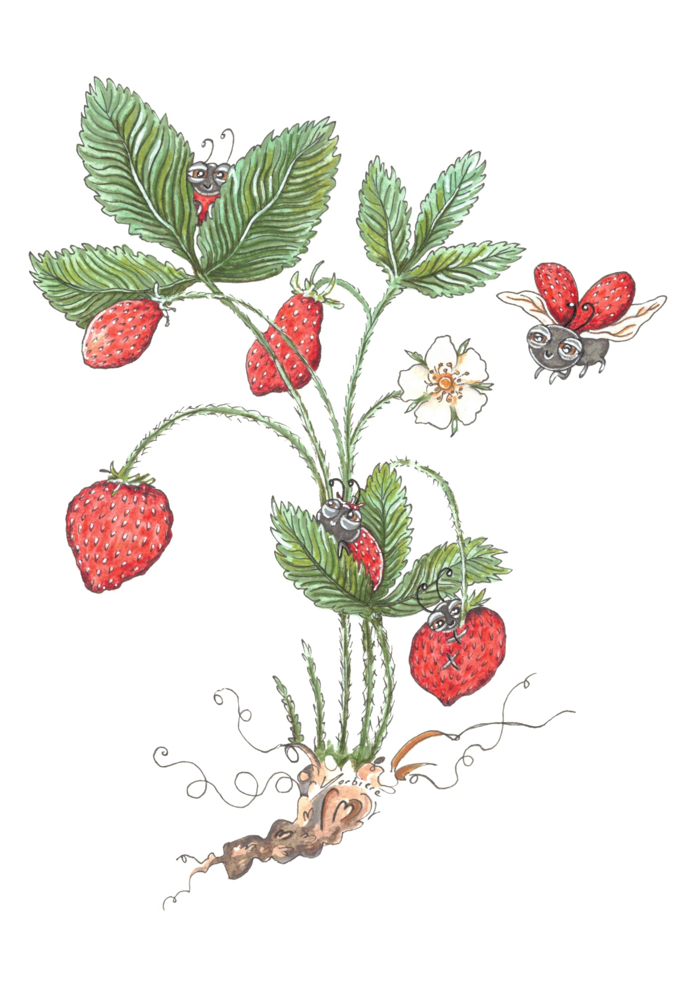 Carte de souhait - Il était une fraise