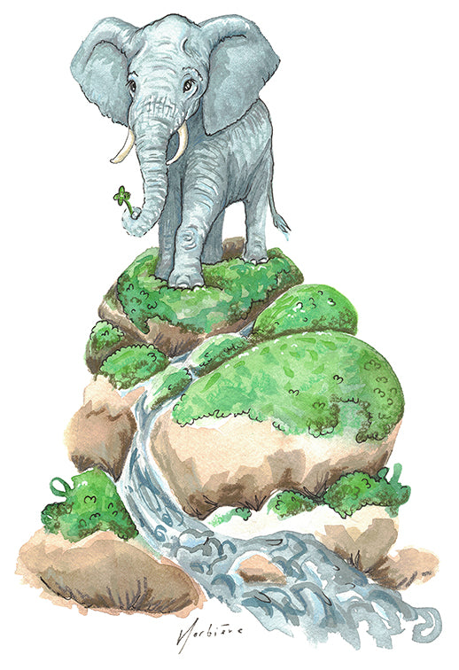 Greeting card - Fungi Fumet