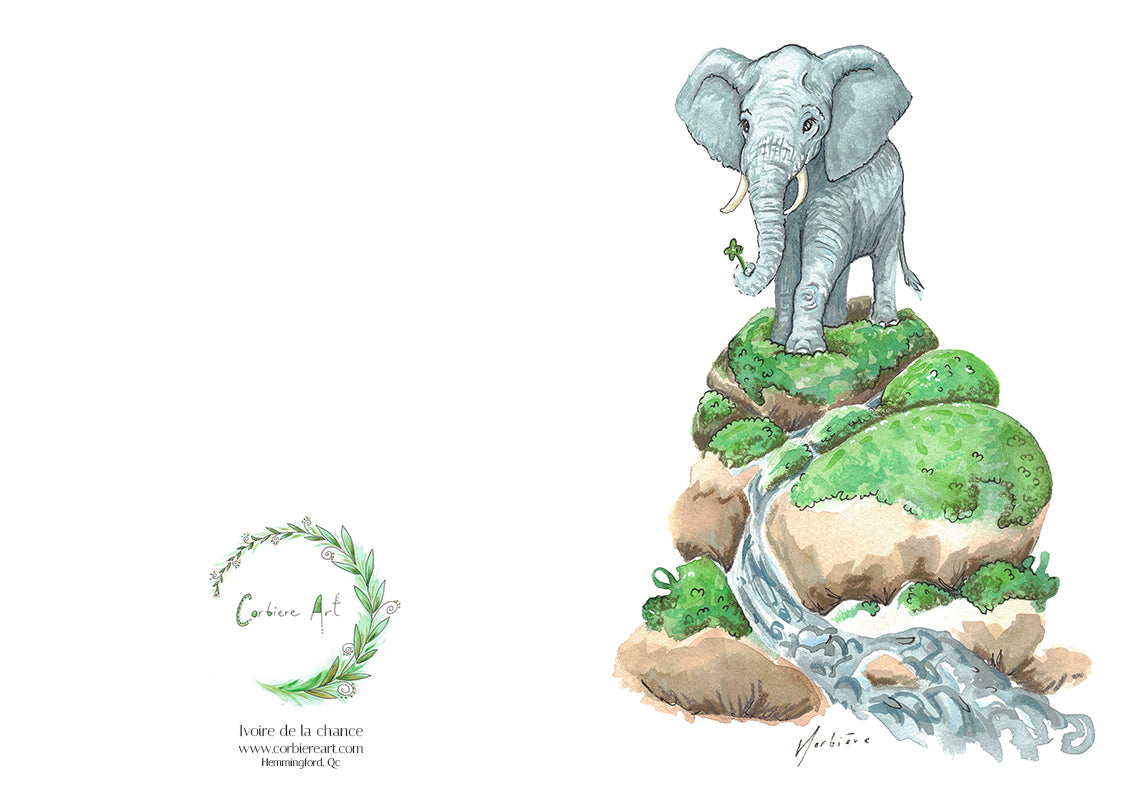 Greeting card - Fungi Fumet