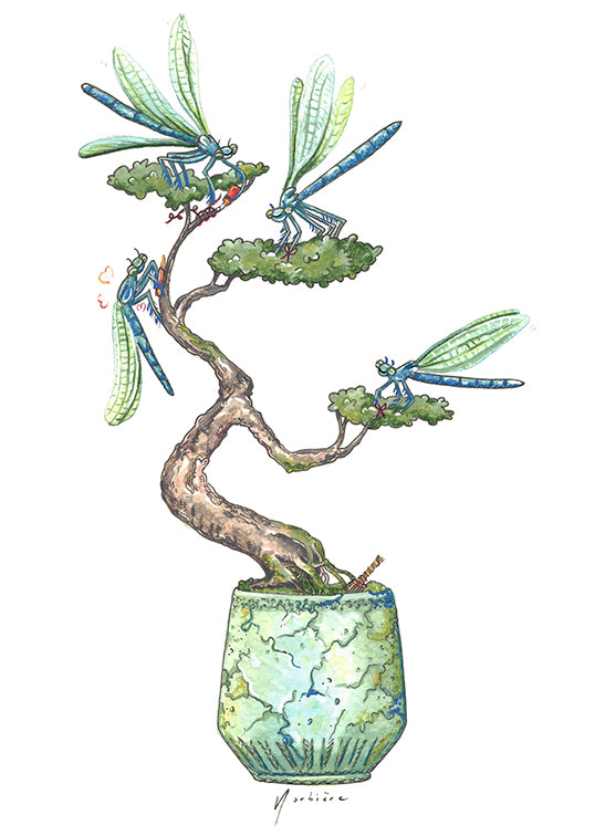 Greeting card - Fungi Fumet