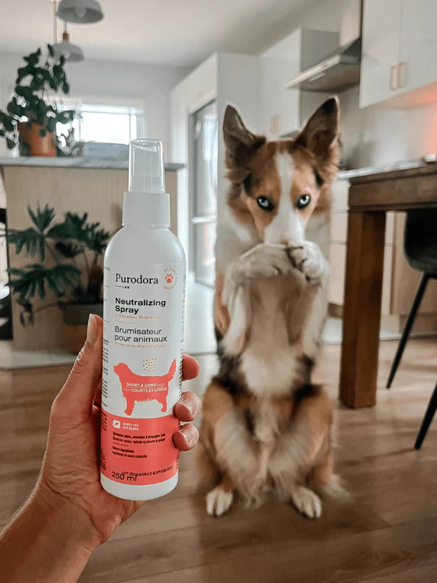Brumisateur pour animaux à poils courts et longs - 110 ml
