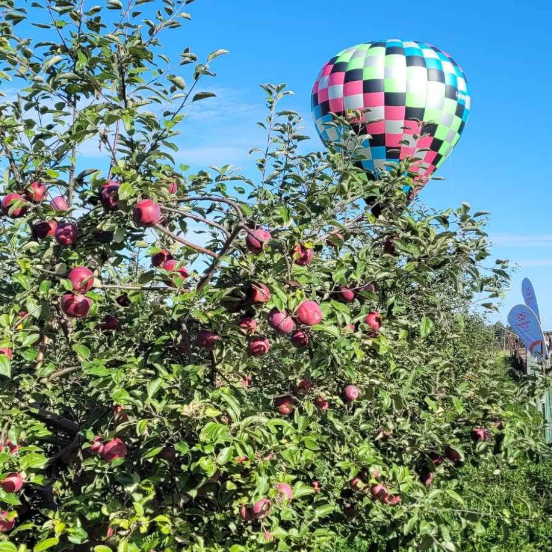 Envolée Privée Et Cidre Mousseux - Explor'air Montgolfière