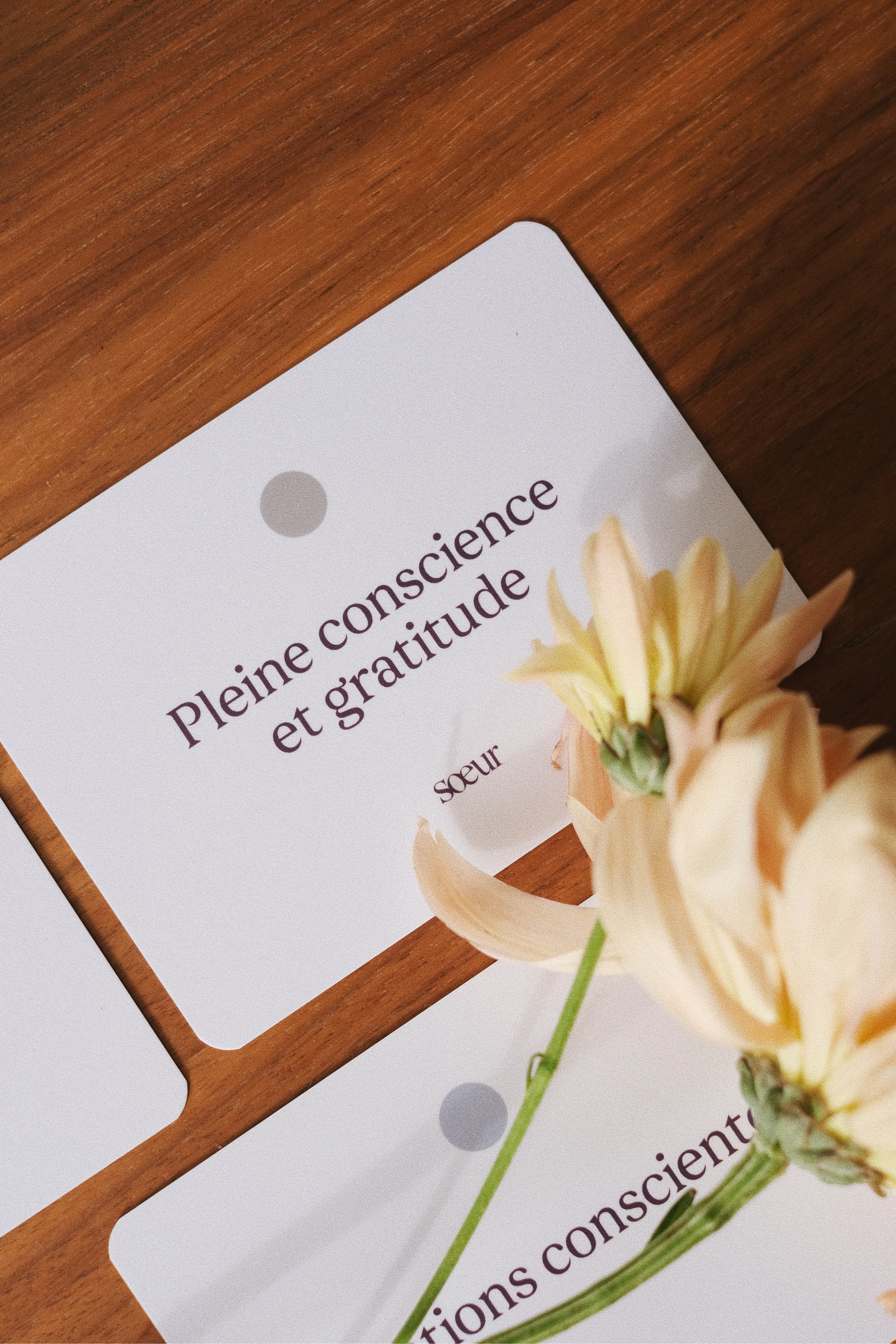 Conscious Affirmation Cards