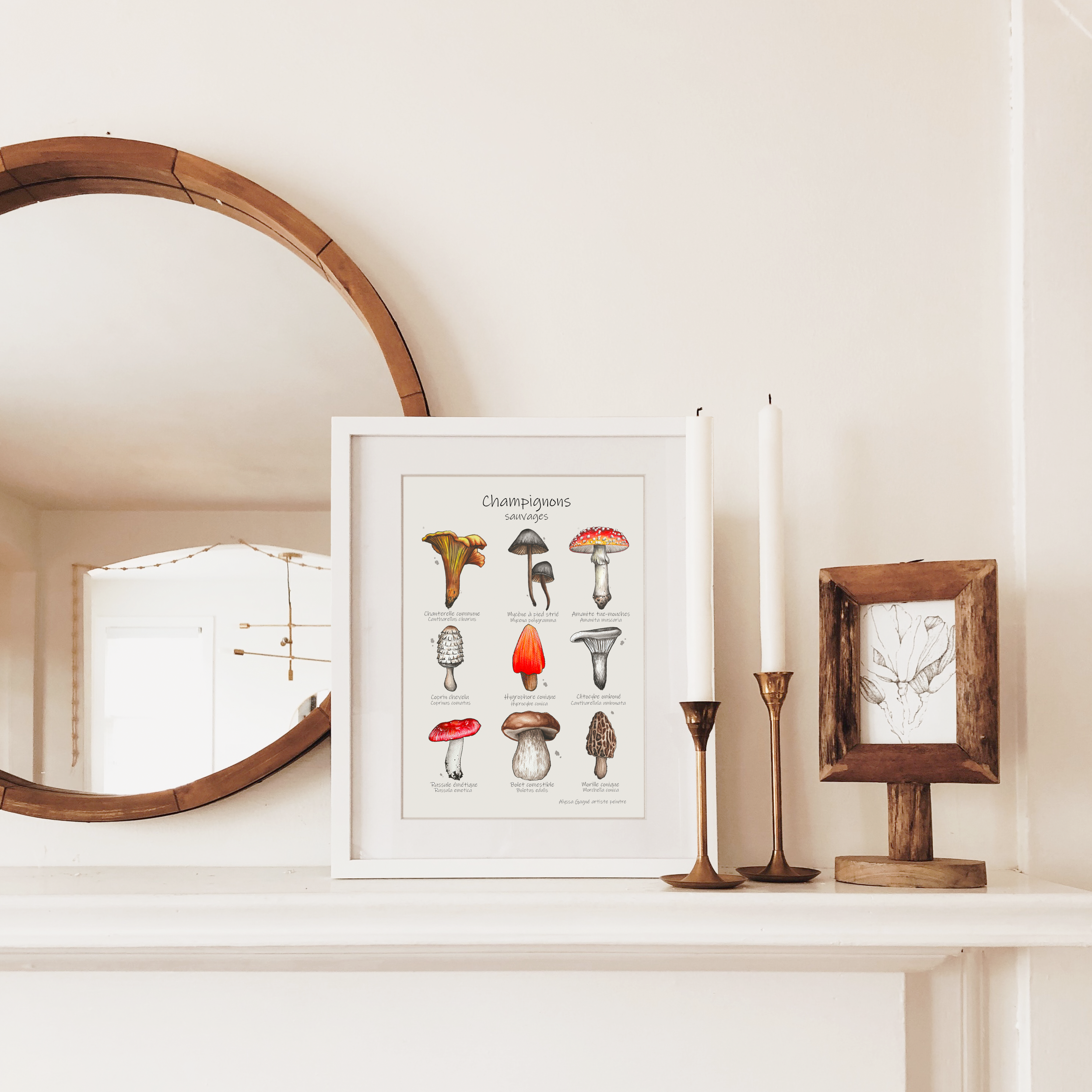Affiche - Champignons sauvages