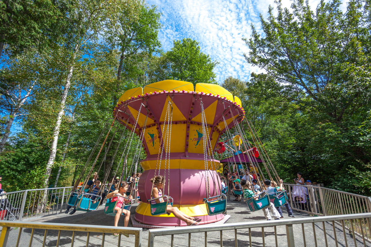Family Activity Day for 4 - Au Pays des Merveilles