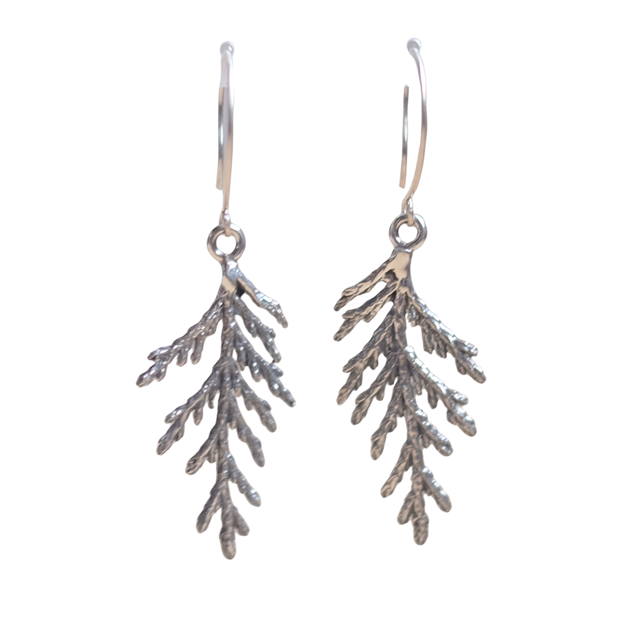 Branches de cèdre - Boucles d'oreilles en argent sterling