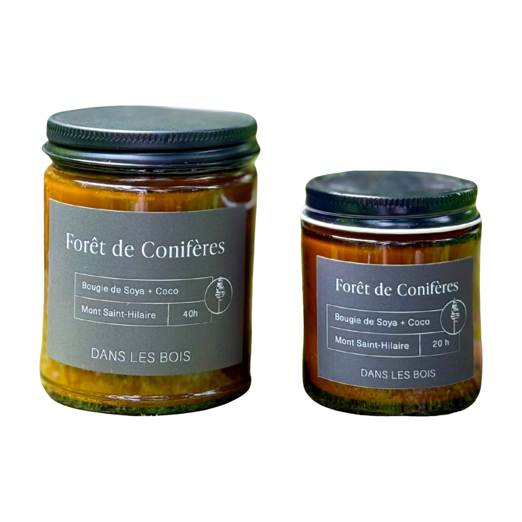 Bougie - Forêt de conifères