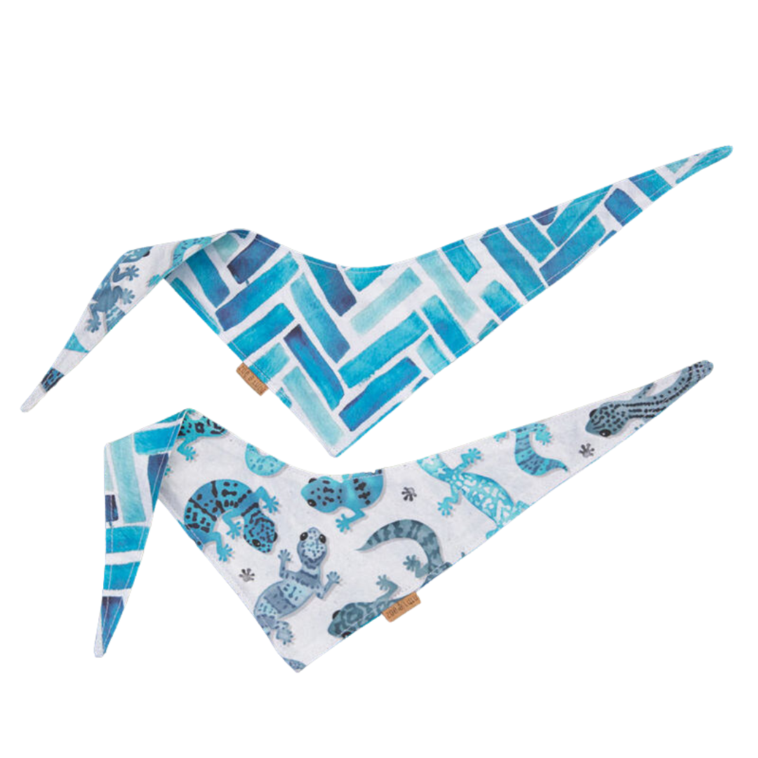 Bandana pour chien - Coco le Gecko