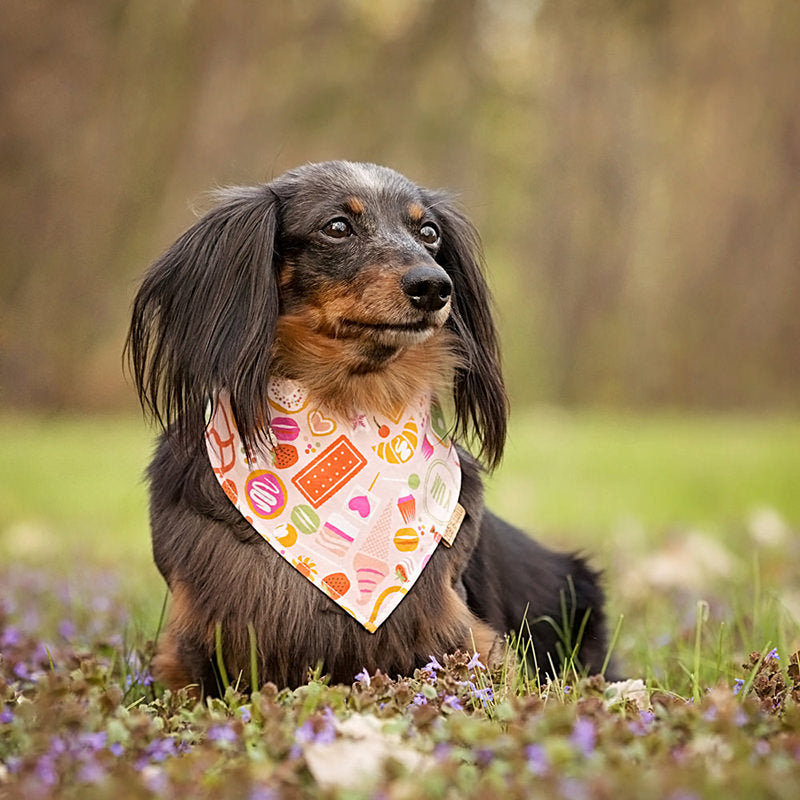 Bandana pour chien - Fresca