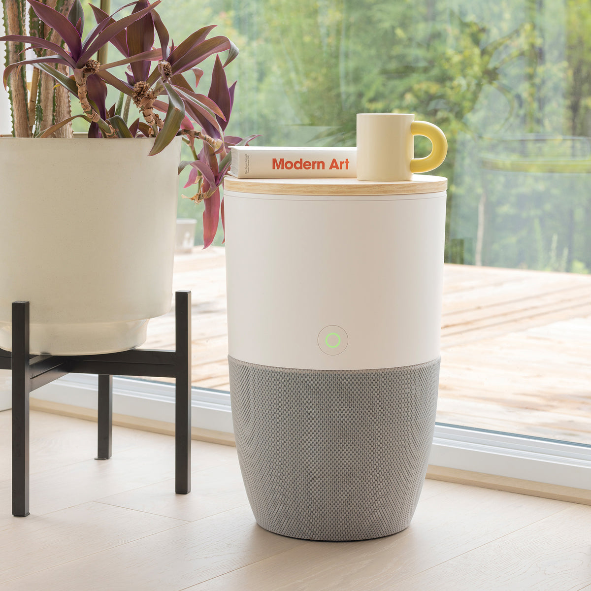 Bloom air purifier with oak top used as an accent table in a living room