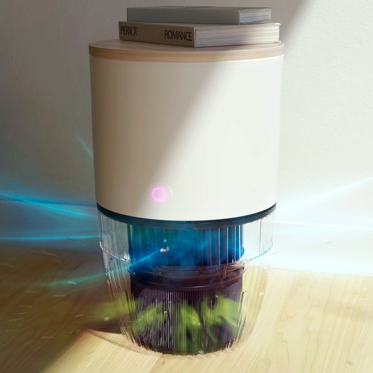 Air flowing through the filter of the Bloom air purifier with oak top