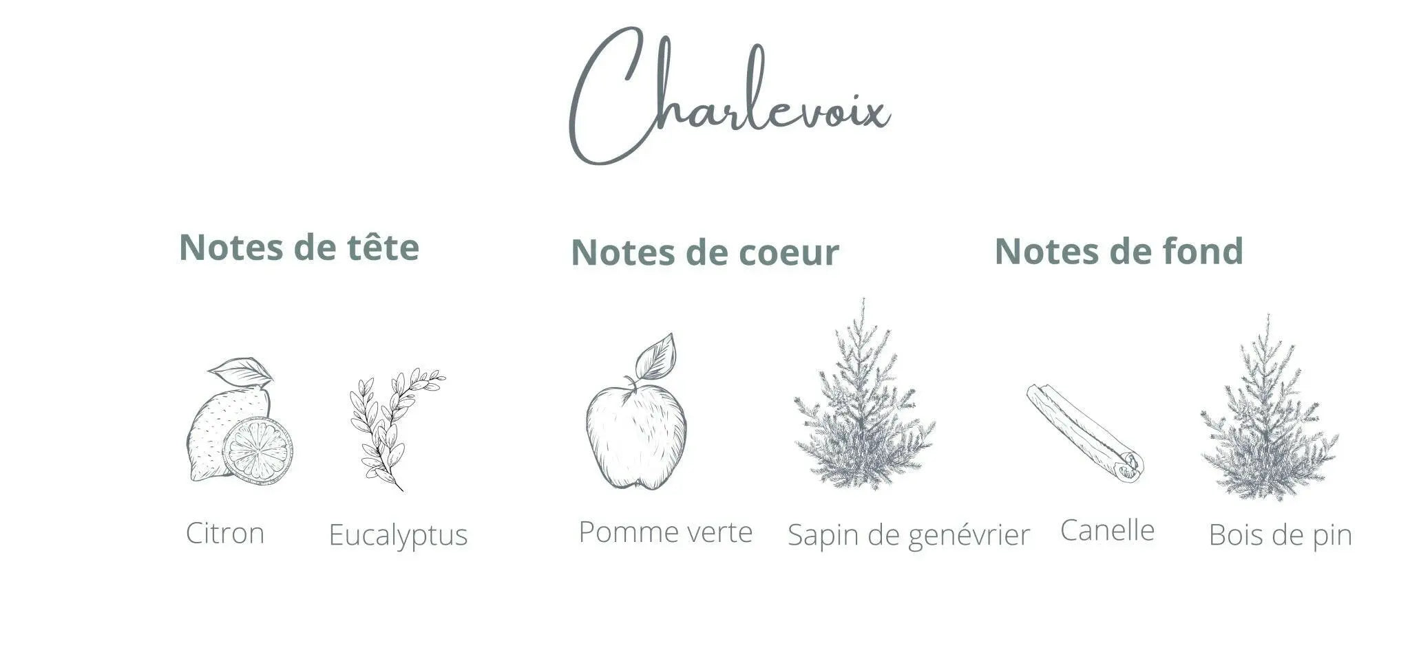 Bougie Charlevoix | Aiguille de sapin + Genévrier