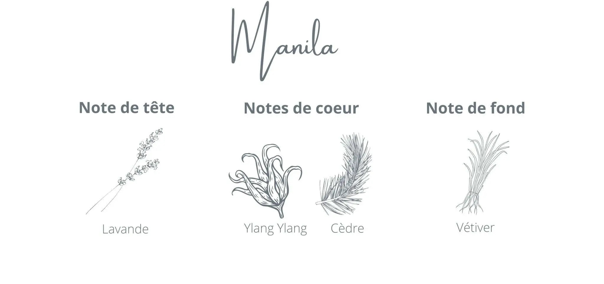 Candle Manila | Lavender + Ylang Ylang