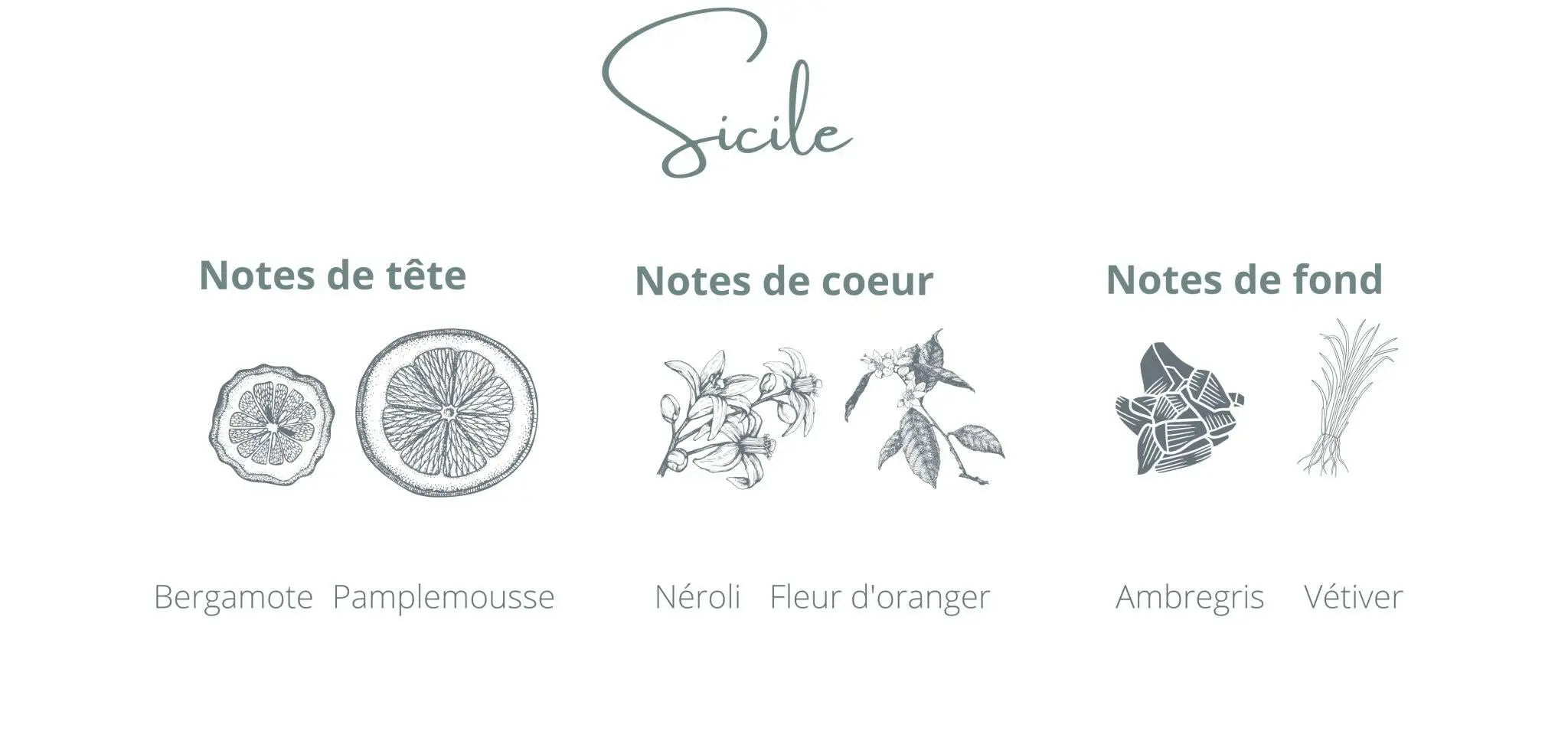 Candle Sicily | Bergamot + Ambergris