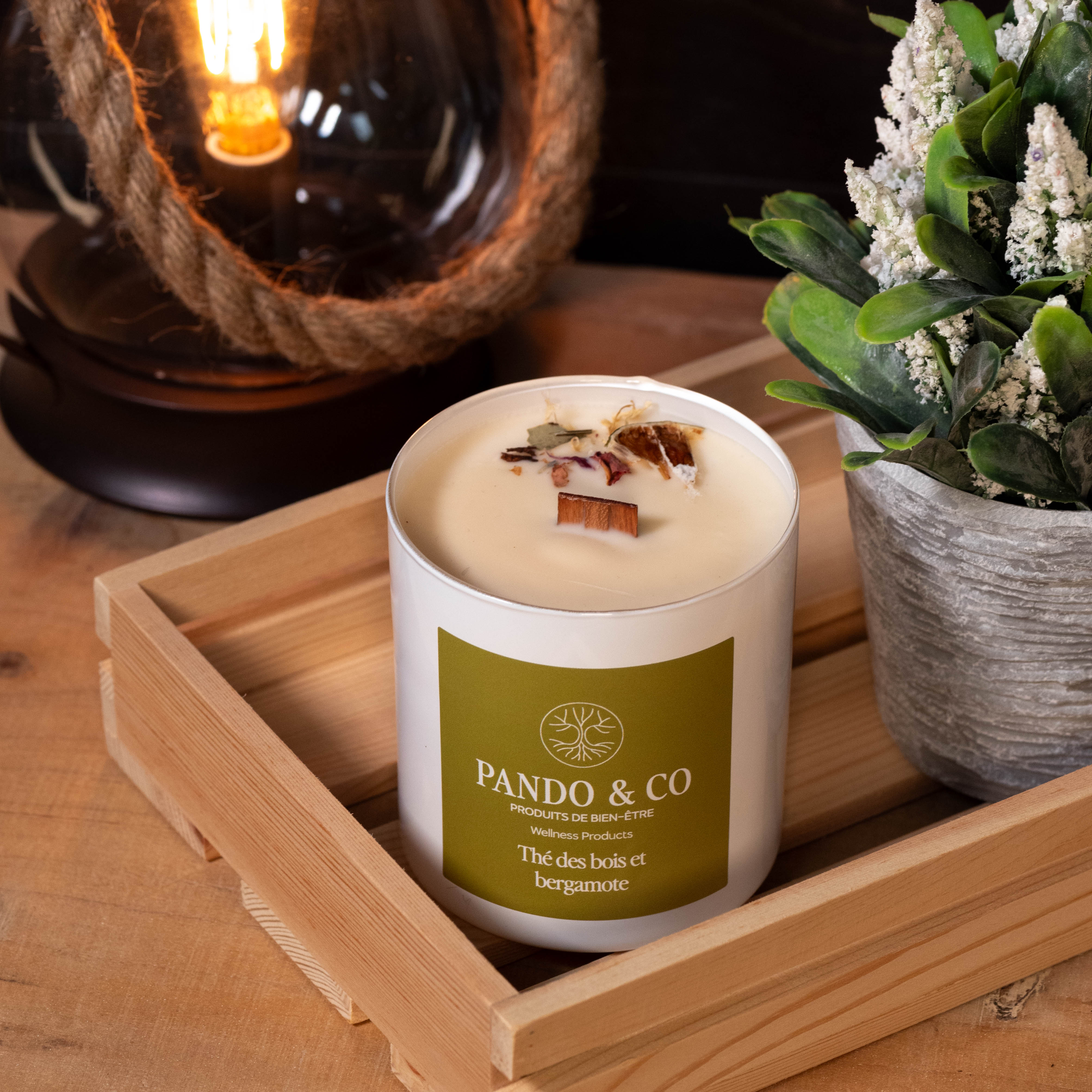 Soy candle - Wintergreen &amp; bergamot