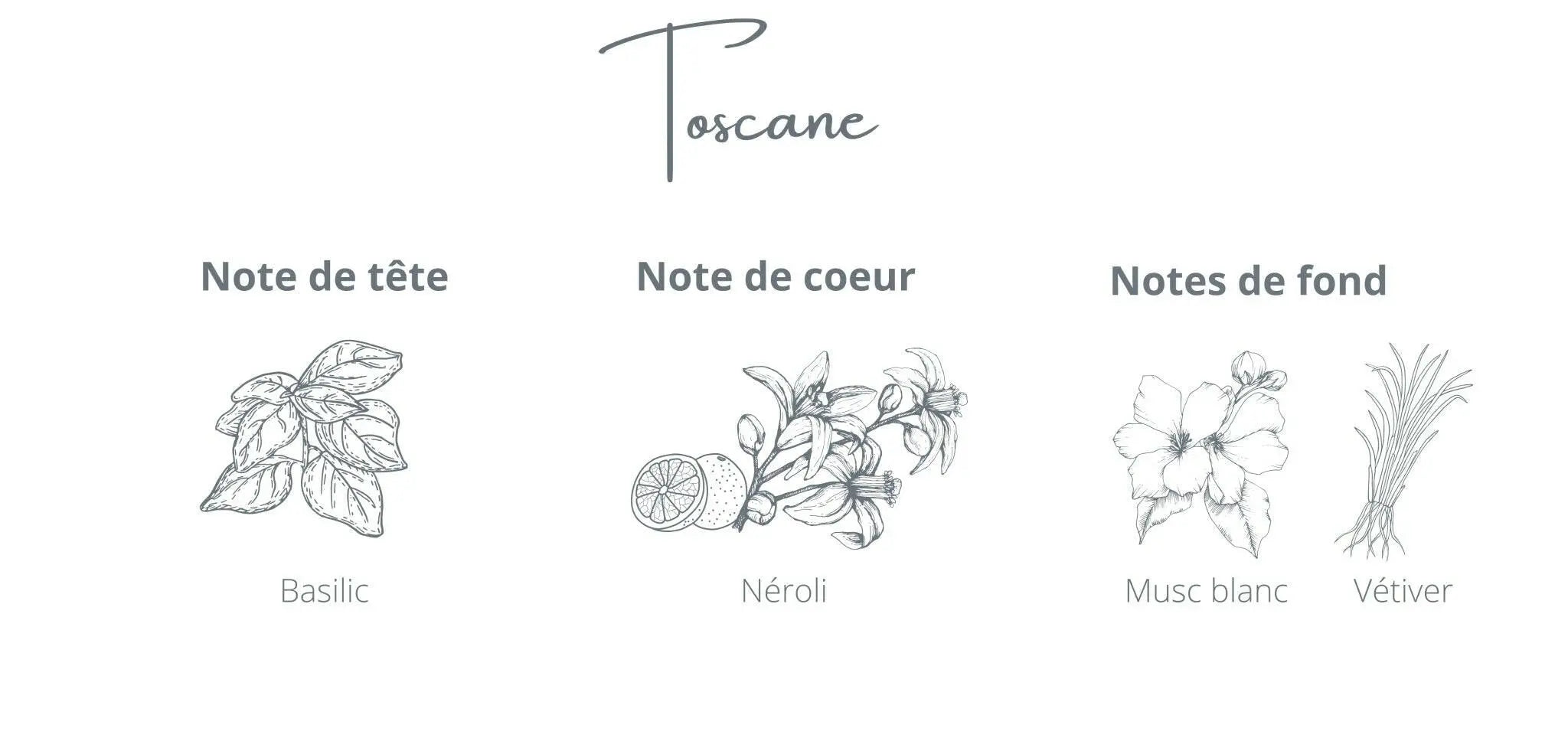 Candle Tuscany | Basil + Neroli