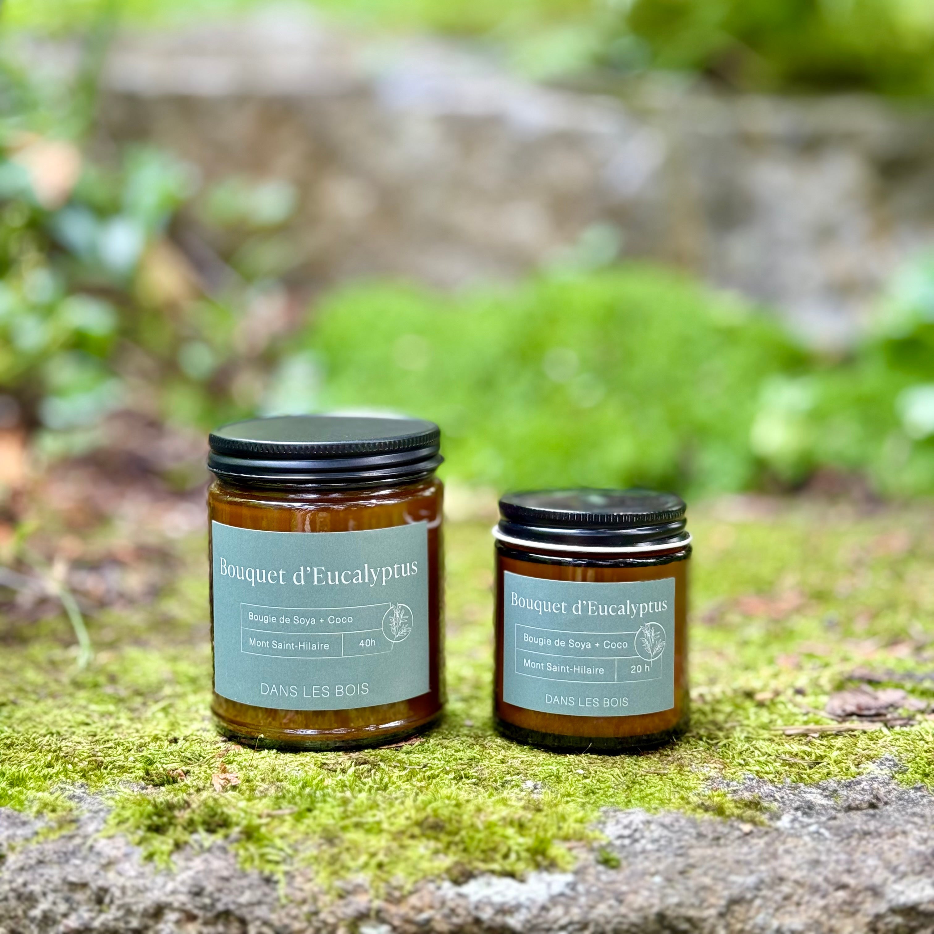 Bougie - Bouquet d'Eucalyptus