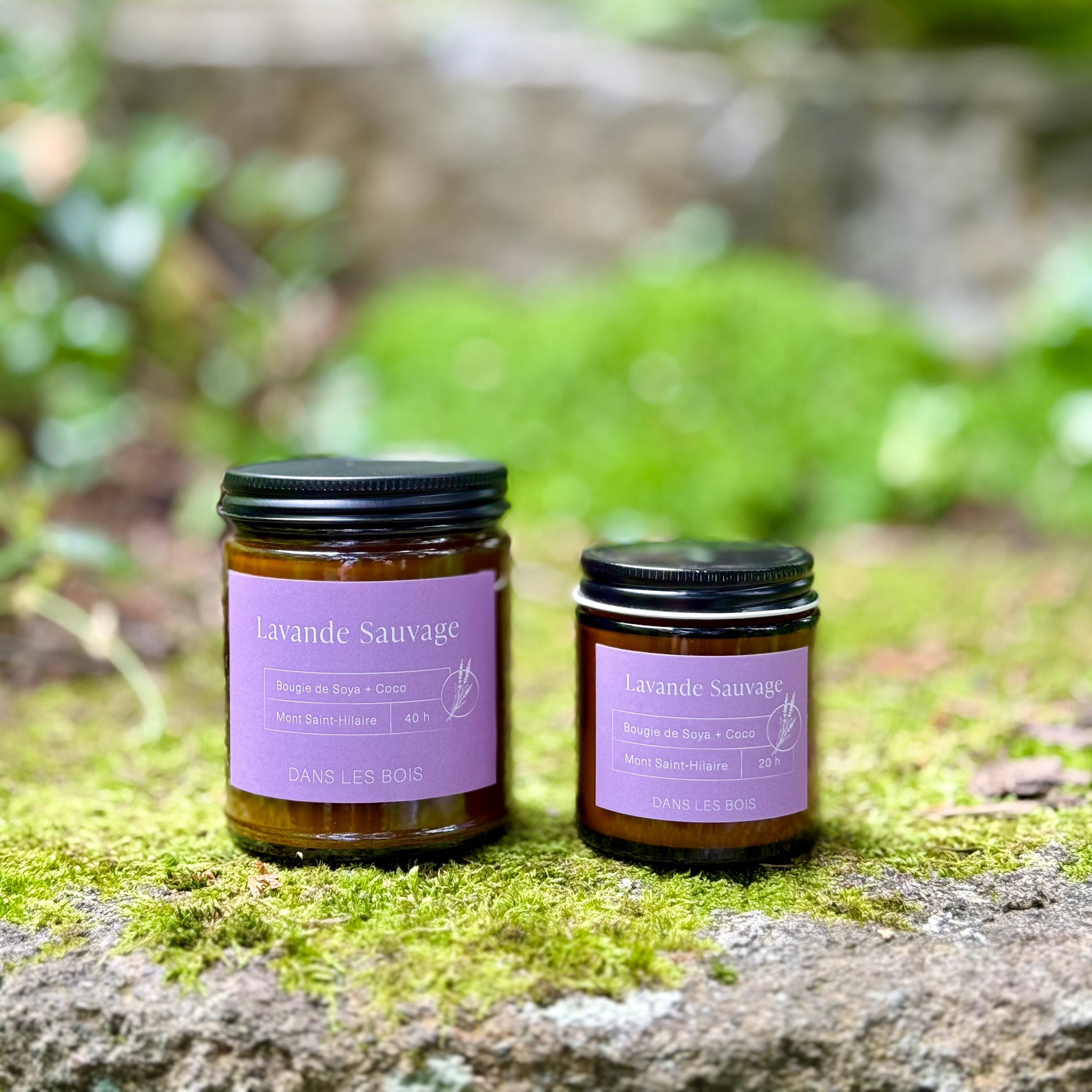 Bougie - Lavande Sauvage
