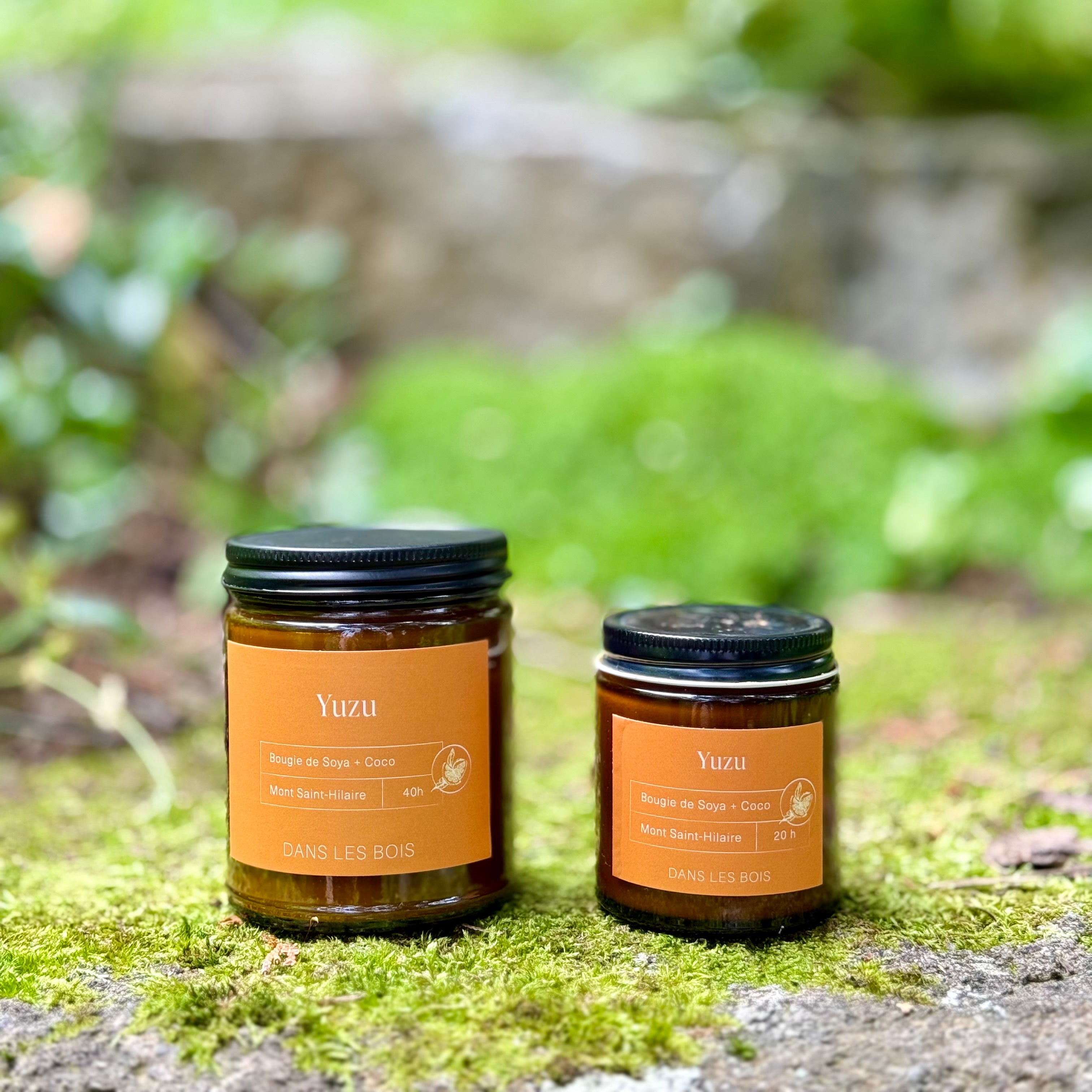 Bougie - Yuzu
